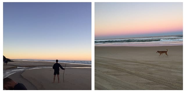 Sunset on the beach with a dingo walking past
